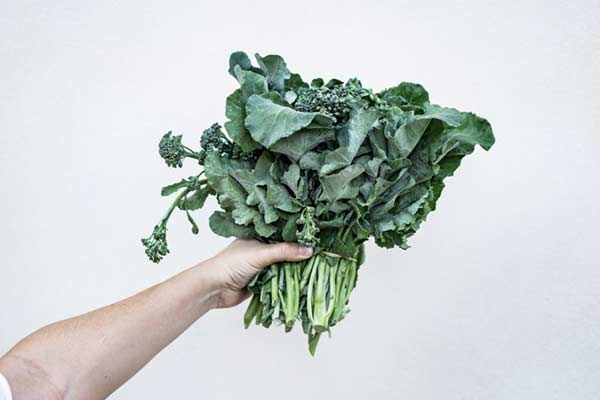 kale-source-of-rich-vitamins